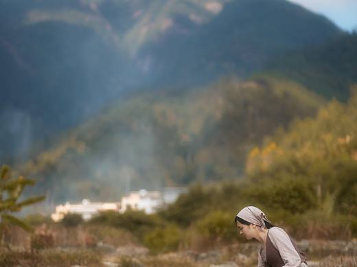  不恋尘世浮华，不写红尘纷扰