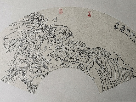 玉簪花写生纯艺术-绘画52002年前近期写生纯艺术-绘画27002年前添加