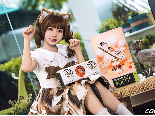 猫猫主题显卡拍摄