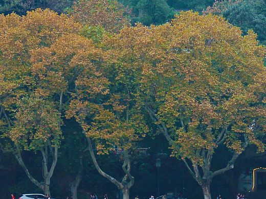 西湖（个人主页-ZMTYxODUxNjA=） - 风光摄影 - 站酷设计师小祖宗诶原创素材 - 站酷ZCOOL