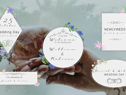 PR模板 | 完美设计色彩鲜艳动画文字标题介绍婚礼视频