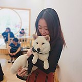 innirush的头像