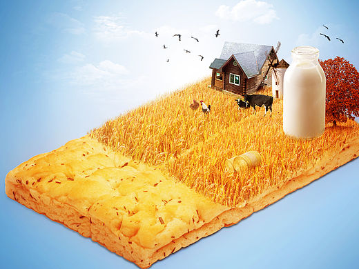 平面食品创意合成海报