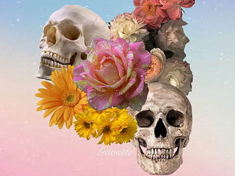 Skulls and flowers(diverse version)