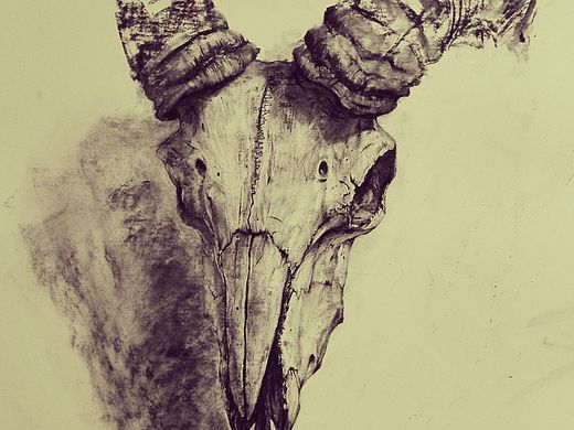 羊头（个人主页-ZMTQ0NDcyODg=） - 绘画 - 站酷设计师老大哥在看你原创素材 - 站酷ZCOOL