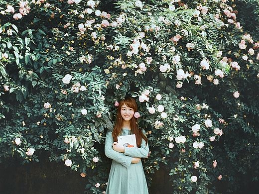 盛夏的花