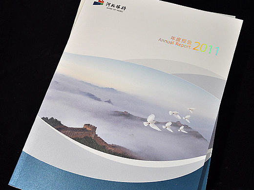 2011银行类年报设计