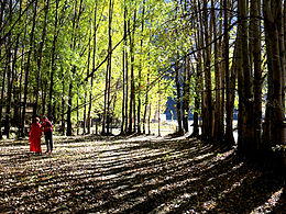 四川采風(fēng)系列