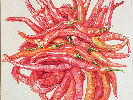 彩铅辣椒