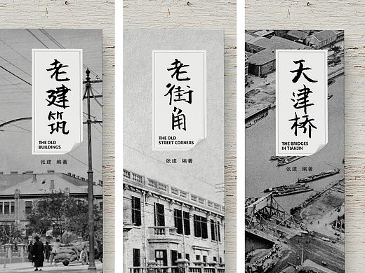 《老建筑》《老街角》《天津桥》系列丛书