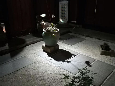 理解＂品牌＂（个人主页-ZMjc2MzY4MjQ=） - 文案/策划 - 站酷设计师厚生承创原创素材 - 站酷ZCOOL