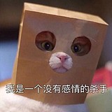 在最高处看日出的头像