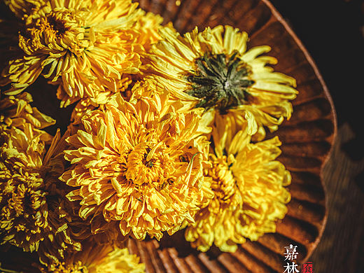 菊花茶