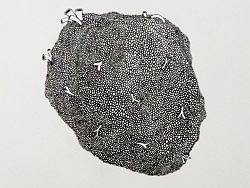 活着的证据（个人主页-ZMTY3MzEzMg==） - 商业插画 - 站酷设计师streetgentleman原创素材 - 站酷ZCOOL