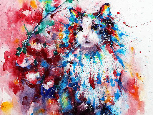 水彩下的猫青年