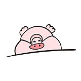 刘胖丸的头像
