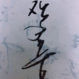 摄影师张扬的头像