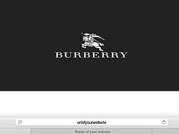 Buberry 官网 练习搞 单页 