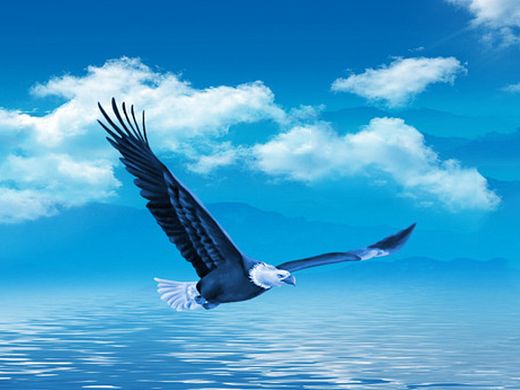 宣传手册（个人主页-ZMTUyNDM0NDA=） - 书籍/画册 - 站酷设计师宁心儿原创素材 - 站酷ZCOOL