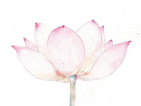 花解语 ［一季］