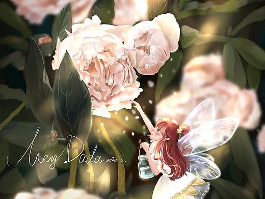 花🌸精灵--芍药