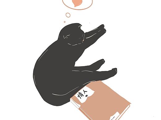 小黑猫煤球球的日常