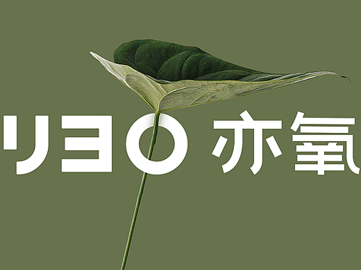 亦氧YEO | 大健康草本雾化品牌策划与设计