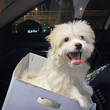 韩盆湓的头像