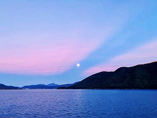 海