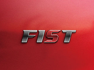 FIST LOGO