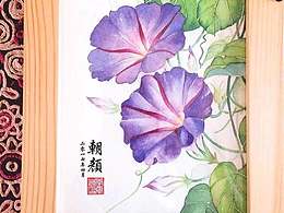 莫負(fù)春光之牽?；ㄩ_(kāi)