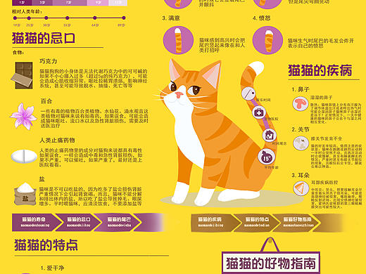 猫猫的那些事儿