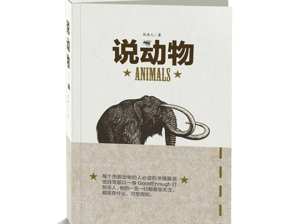 书籍装帧（说动物精装）