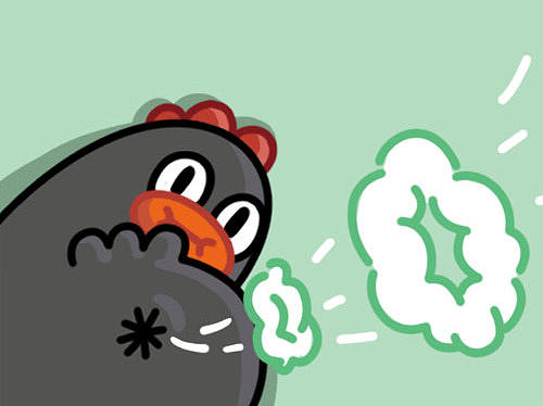 黑鸡鸡