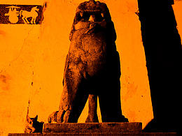 《城門獅子石像下的流浪貓》