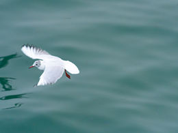 过去一年的作品Part3