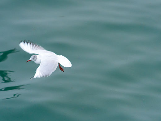 过去一年的作品Part3