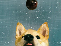 時光的流逝，曾定格美好。