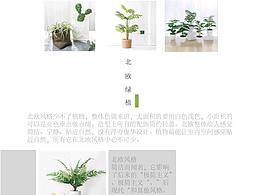 绿植