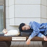 动感小光波的头像