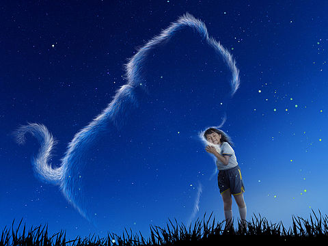 #喵星人#电影海报