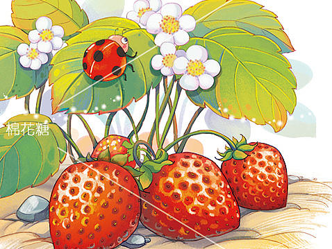 吃草莓吧