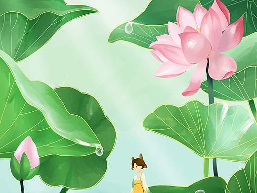 夏日荷花大赏