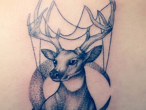 鹿（个人主页-ZMjcwNDg0MDA=） - 绘画 - 站酷设计师森羽刺青原创素材 - 站酷ZCOOL