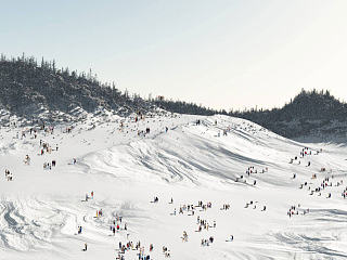 VUE---滑雪场效果图
