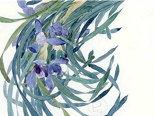 花卉水彩手绘插画水彩教程卡通插画治愈系头像壁纸春天