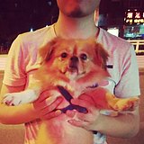 圓圆圓圆的头像