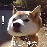 头发超多的头像