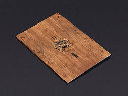 东关街招商宣传册