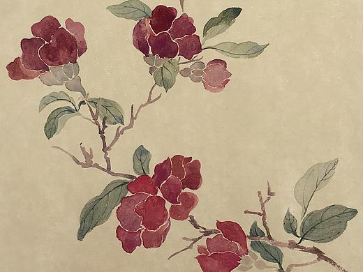 花鸟小品